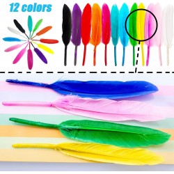 Small colored feathers, 12 pieces per card